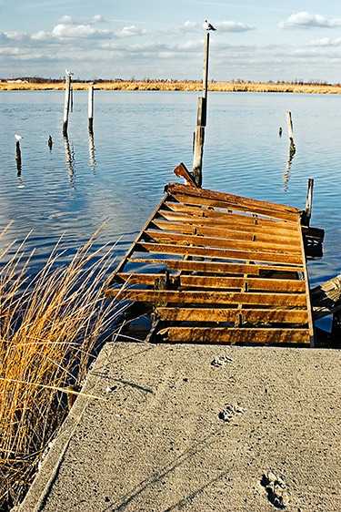 Foot prints and seagull's perch on old piers and pilings at Mill Creek, Secaucus NJ Decaying Piers and Pilings, 2006