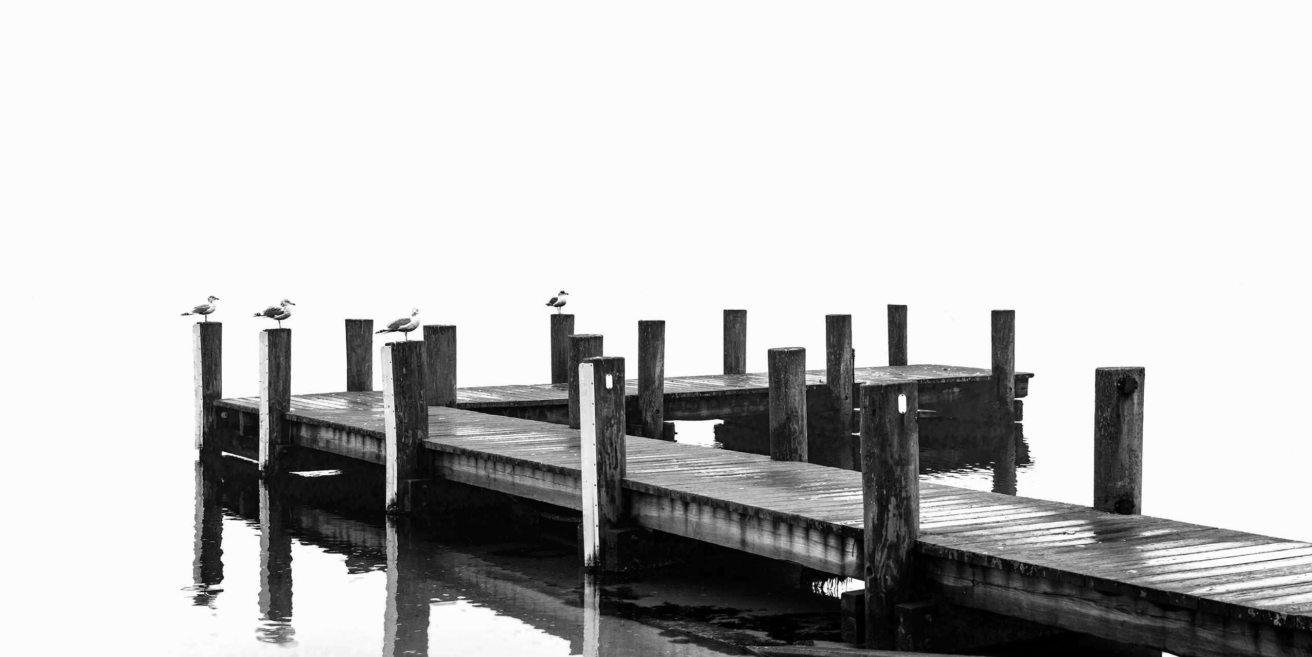 4 Gulls, West Chop, Vineyard Haven, MA