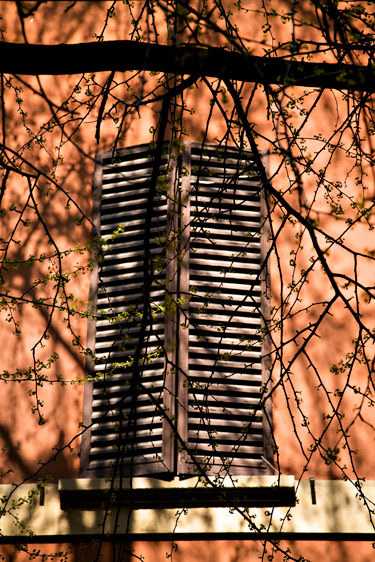 Shadows and Shutters, Bologna 2008