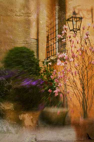 Corte Isolani, Bologna 2007