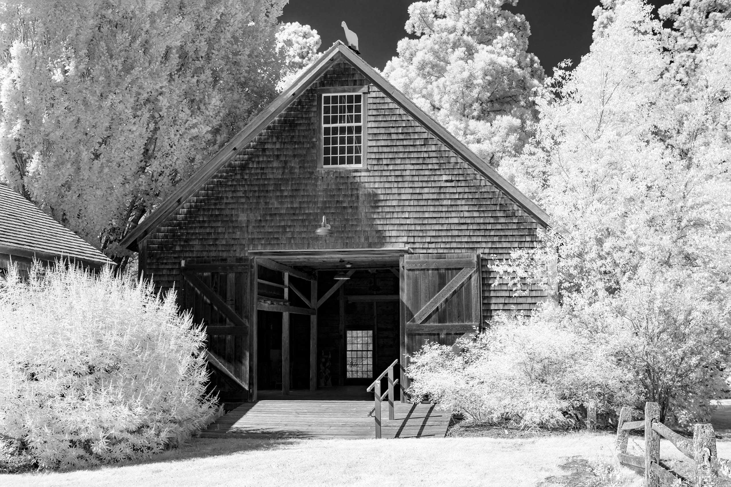 Far Barn, Polly Hill Arboretum, West Tisbury, MA