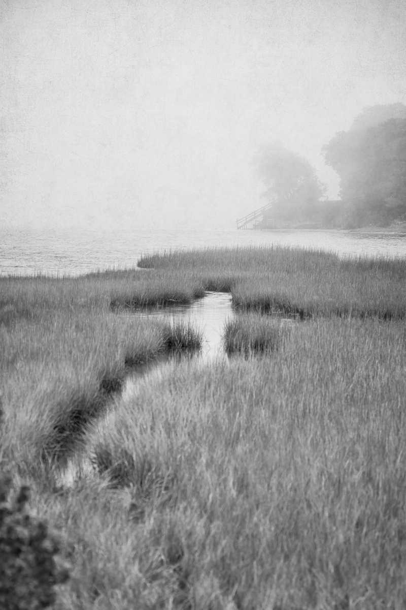 Fog Across Tashmoo, Vineyard Haven, MA