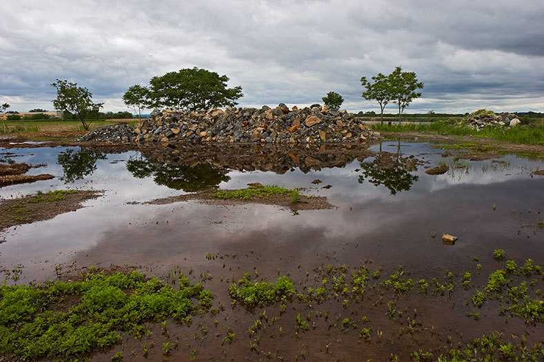 Secaucus and Hudson County undertook the restoration of a landfill dump on Mill Creek to create a park. Landscape Transformation, 2006