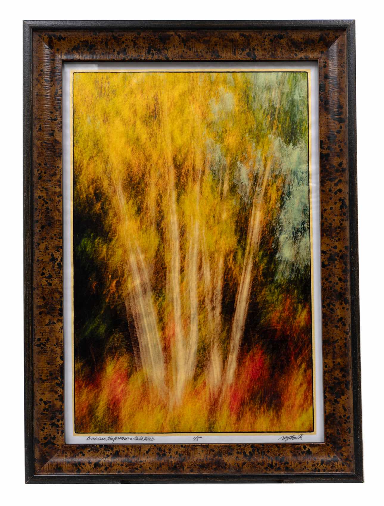 Gilded vellum print of Birch trees shimmering in end to day light in Child's Field on Old County Road in West Tisbury, MA. Birch Tree Impressions, Child Field