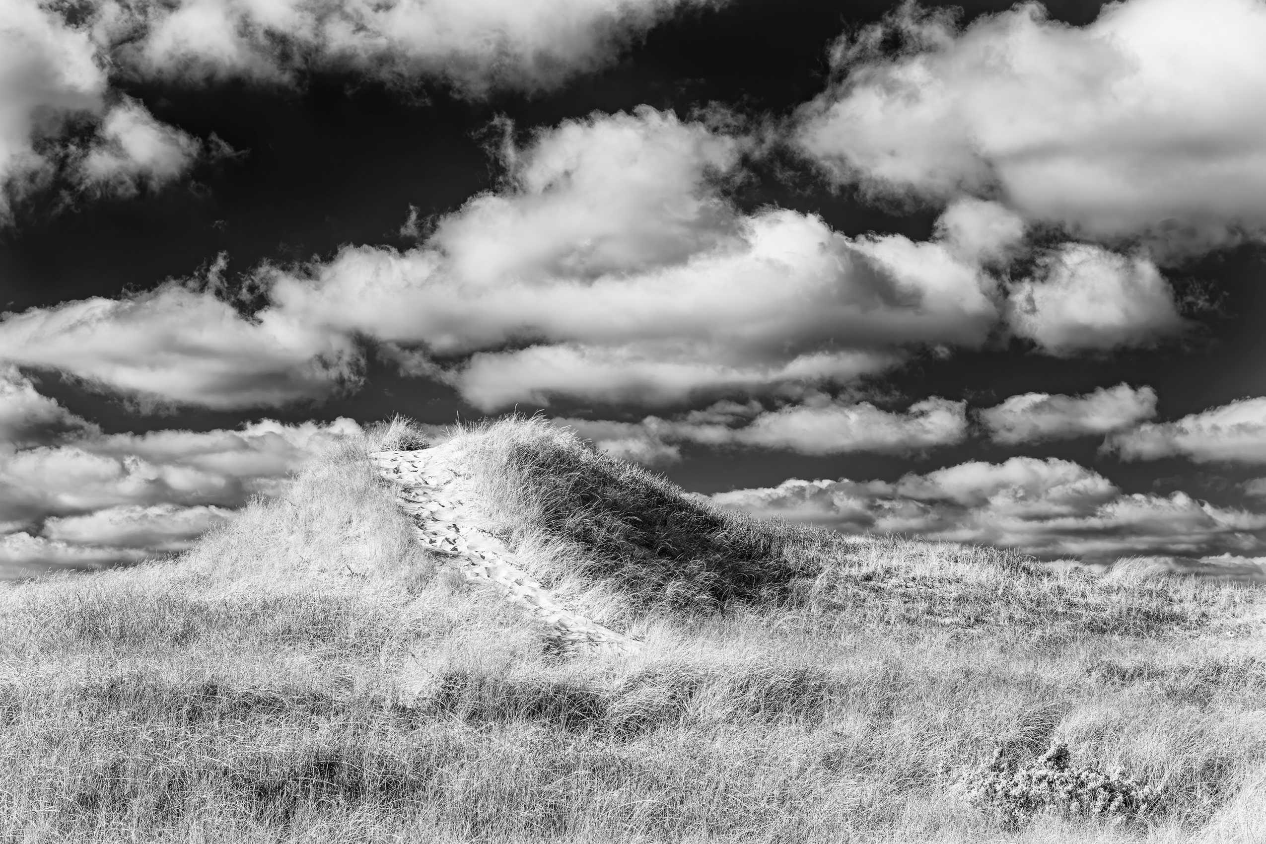 24x16" Archival Pigment Print. Infrared photograph of the dune trail leading to the beach on a Winter day in Aquinnah, MA. January 2025 Dune Trail - Philbin Beach, Aquinnah, Martha's Vineyard, MA