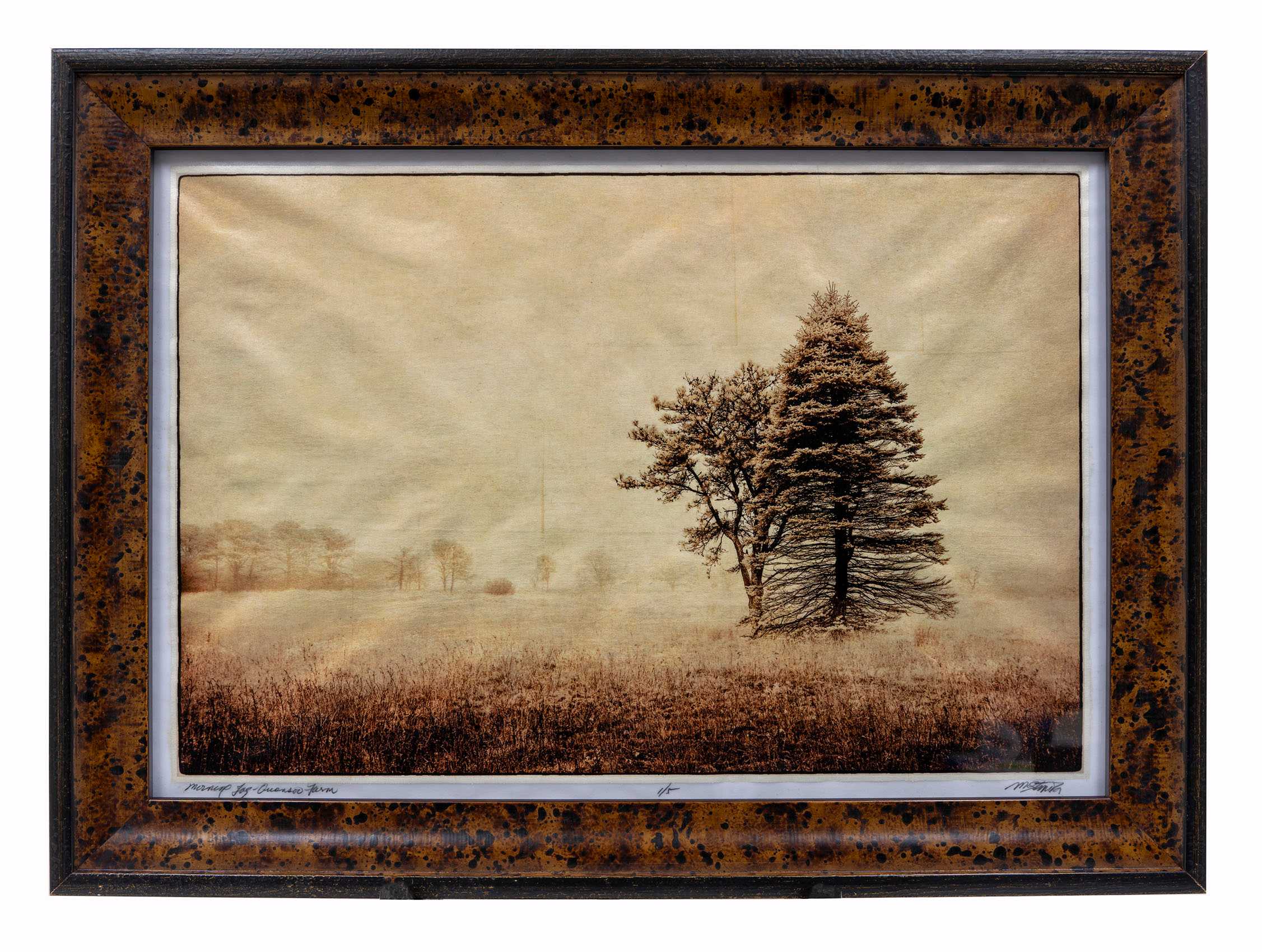 Gilded vellum print of embracing trees in morning fog at Quansoo Farm in Chilmark, MA Morning Fog, Quansoo Farm