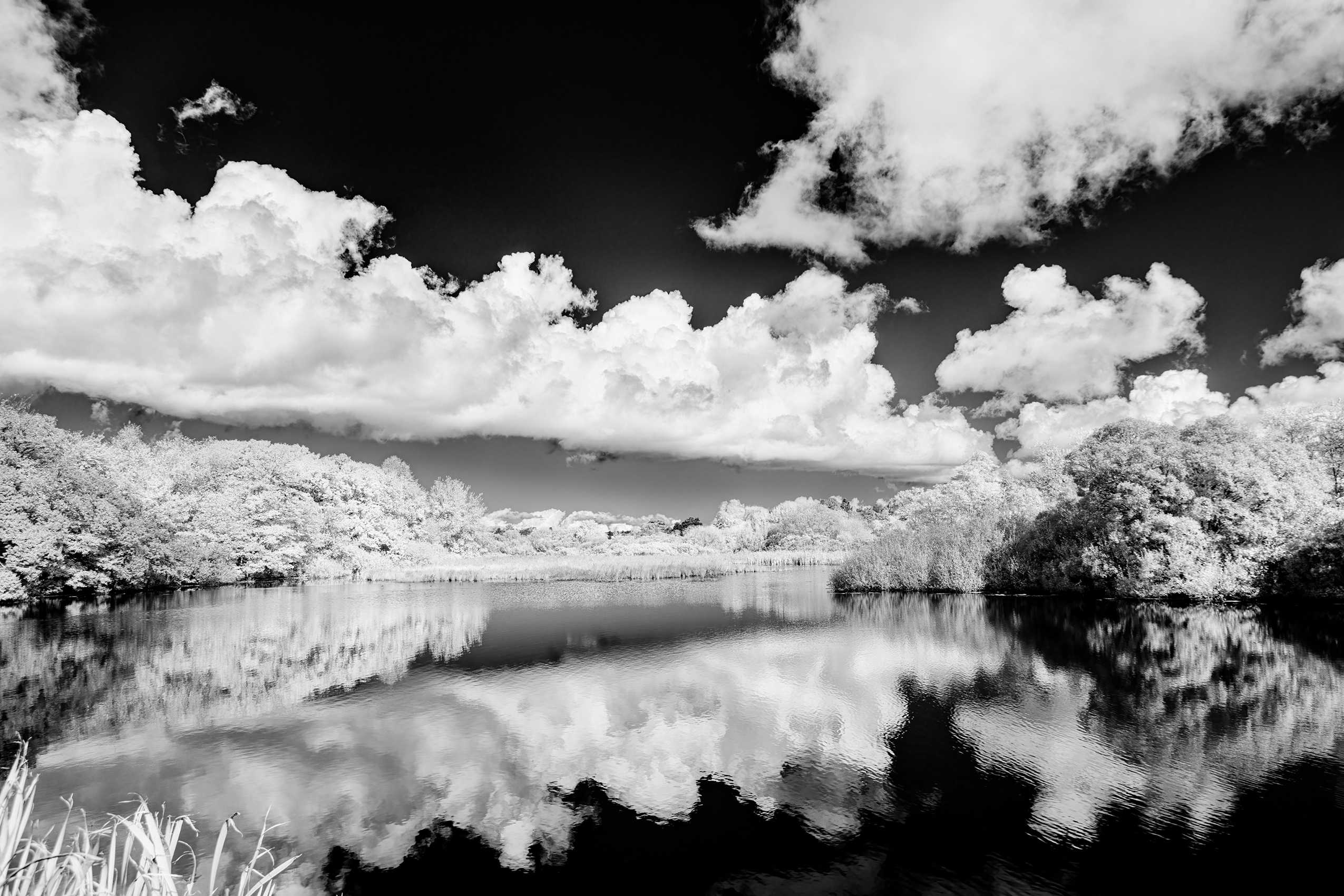 24x16" Archival Pigment Print. Infrared photograph of West Tisbury's Mill Pond. Autumn 2024 Mill Pond, West Tisbury, Martha's Vineyard, MA