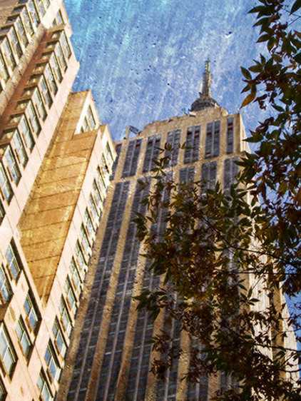 Empire State building through a rare tree on West 33rd Street. Empire State Building, New York City 2007