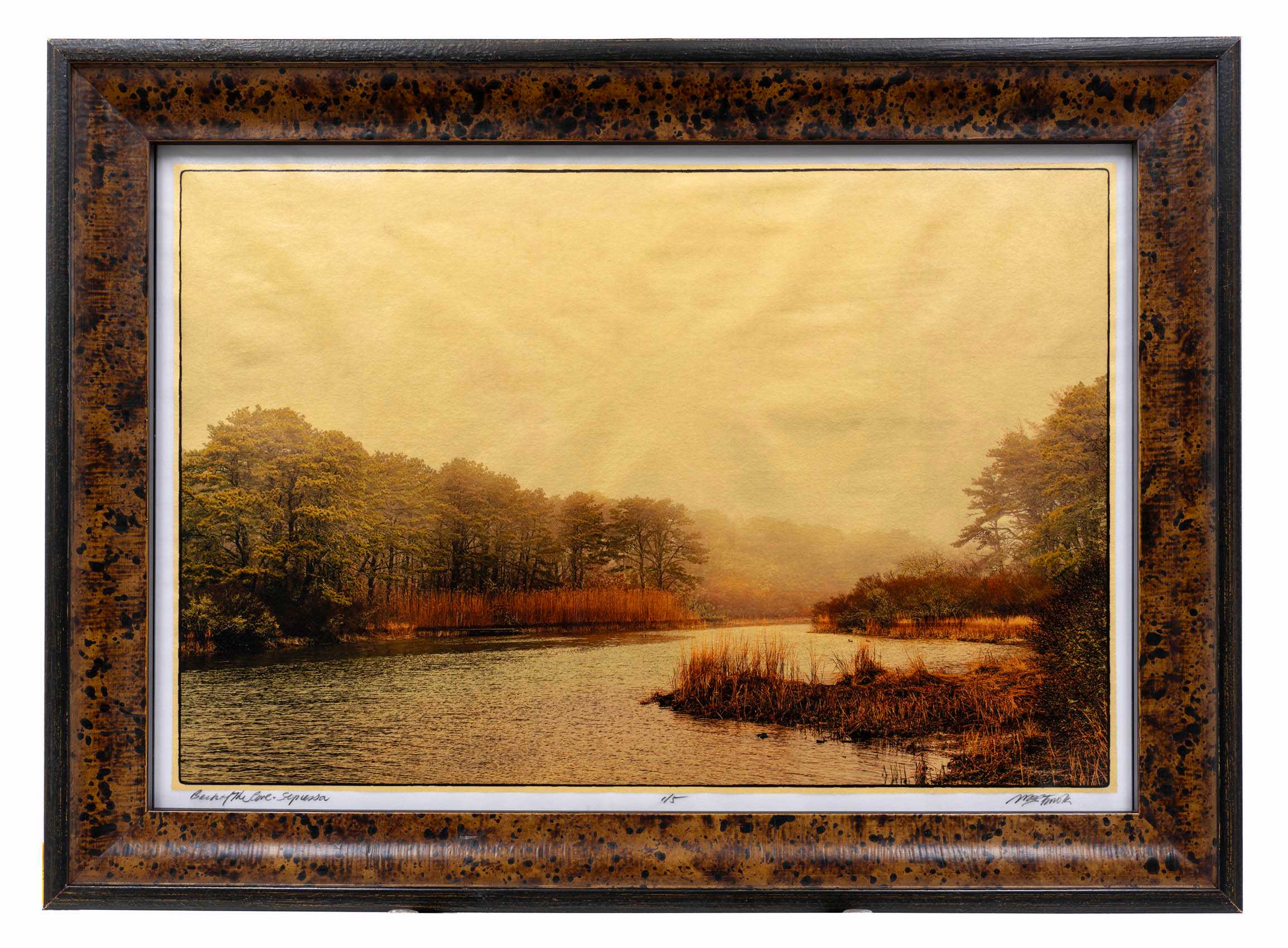Gilded vellum print of mixed trees in morning fog at the back of Tiah's Cove, West Tisbury, MA. Back Of The Cove, Sepiessa