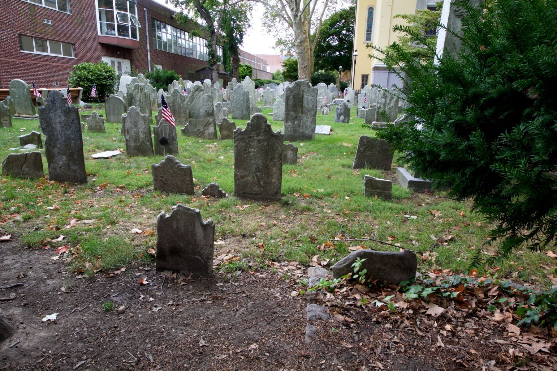 1_mg_1800___version_2