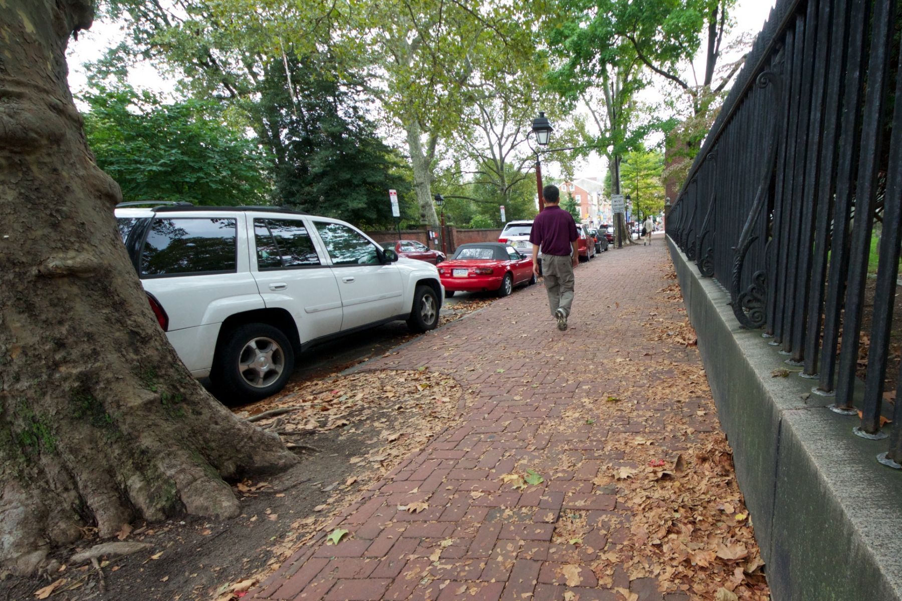 1_mg_1798___version_2