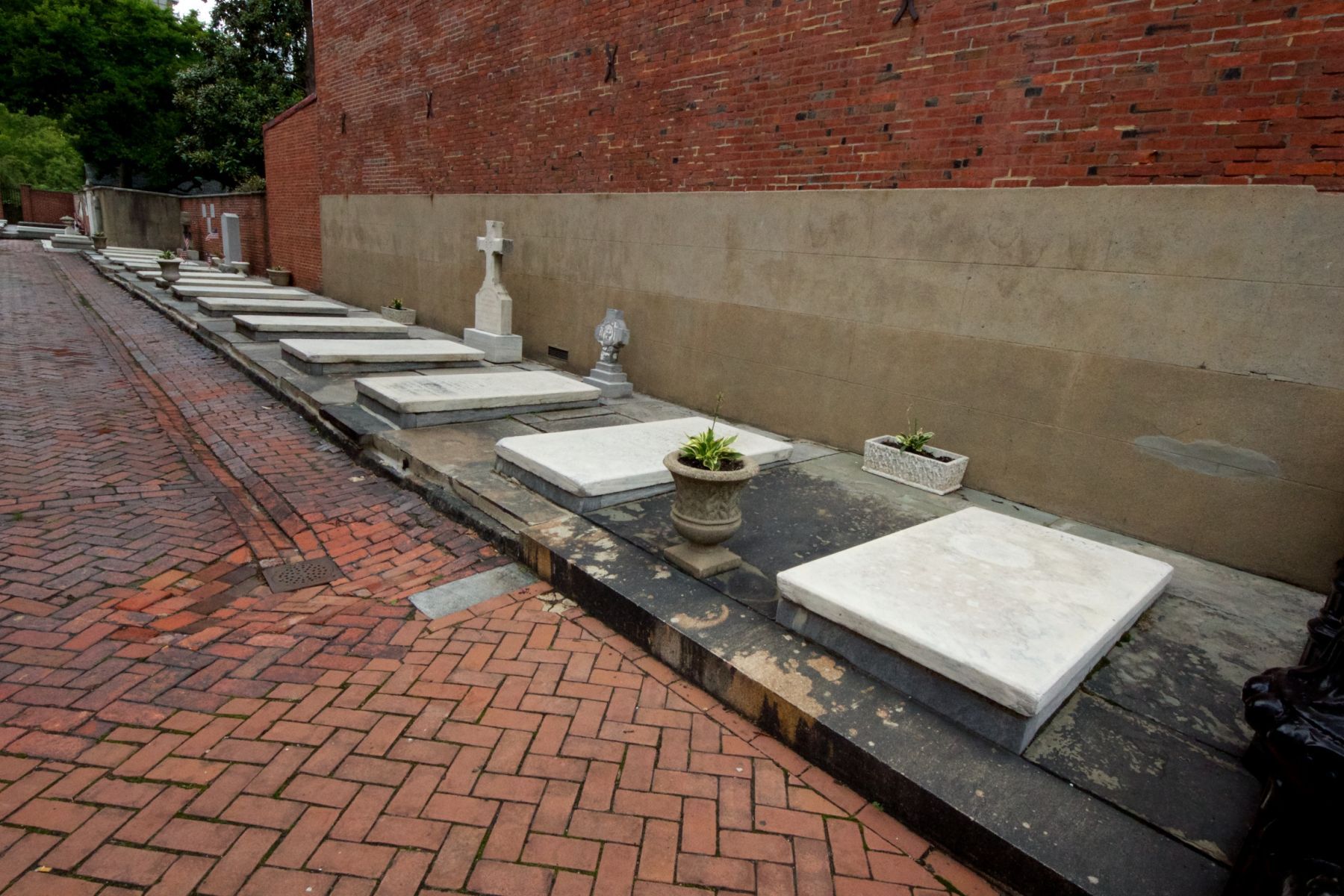 1_mg_1875___version_2