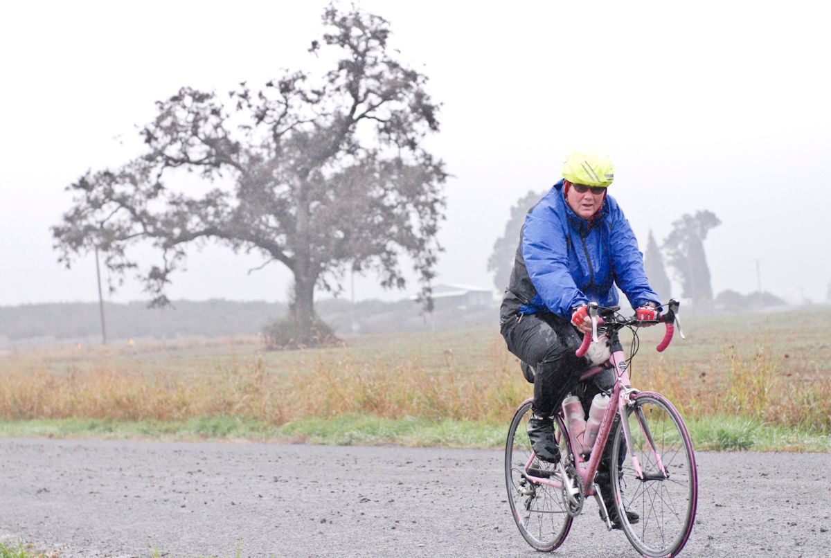 2010 Harvest Century