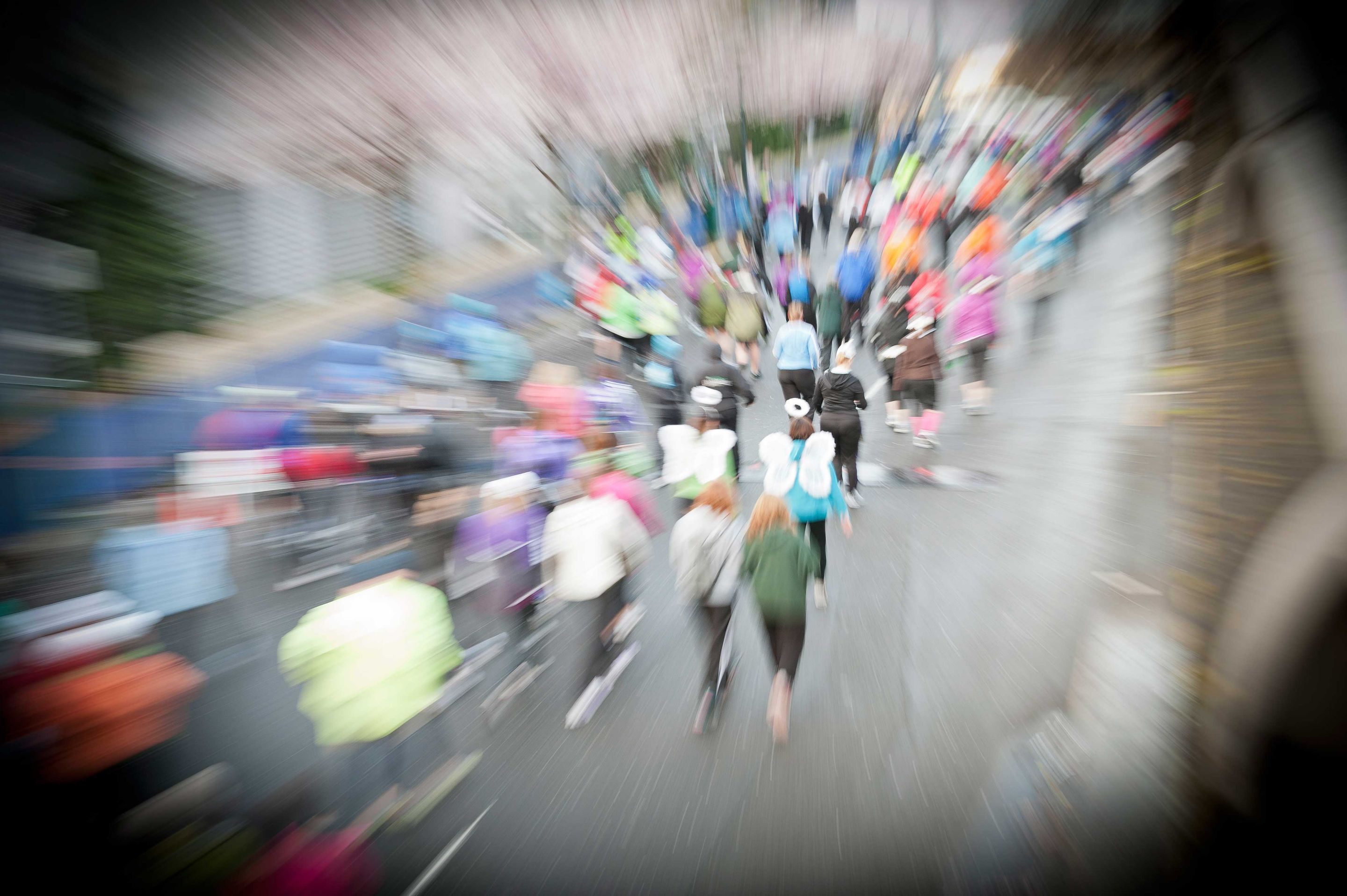 2012 Race For The Roses