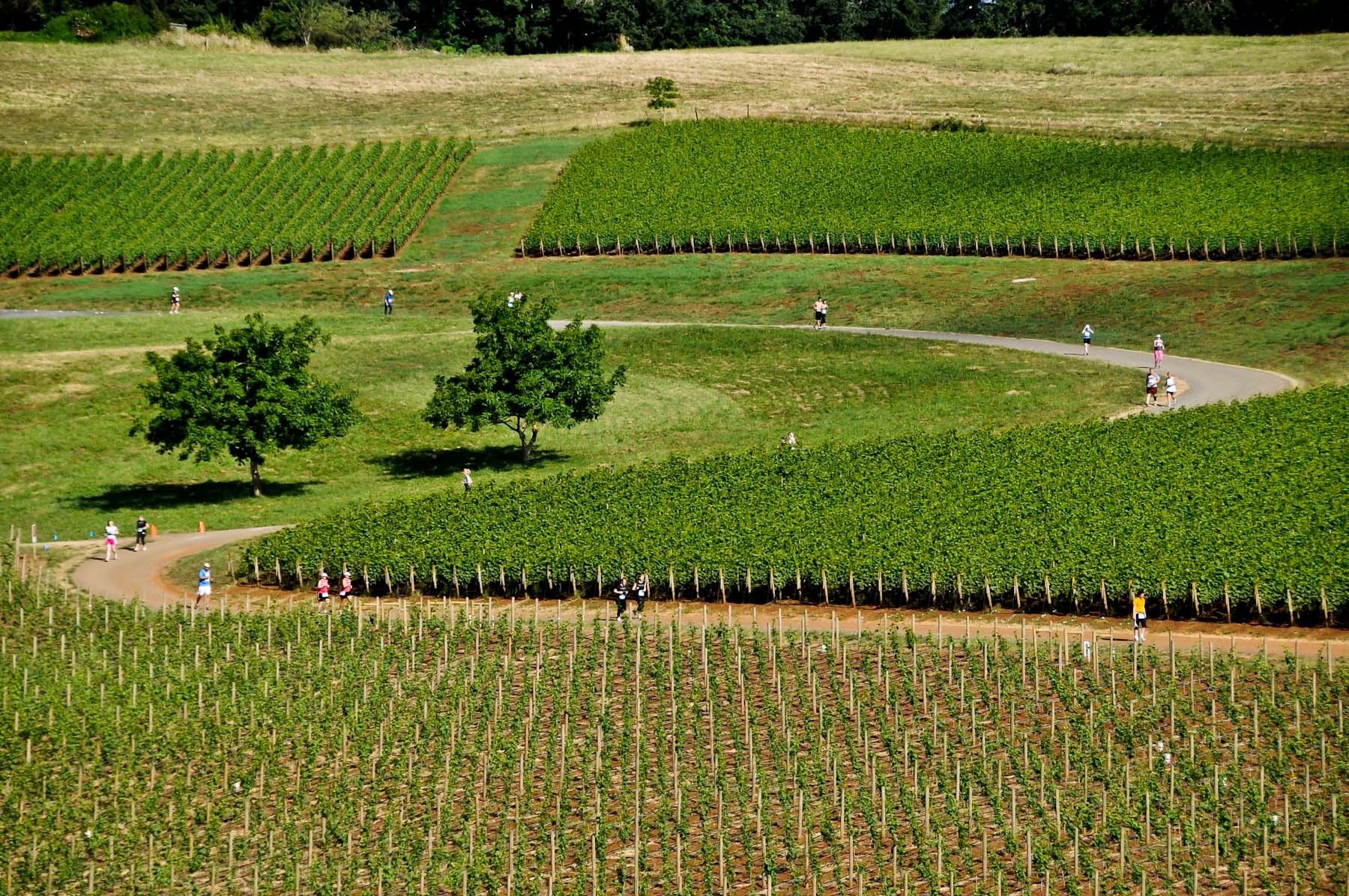 2010 Fueled by Fine Wine