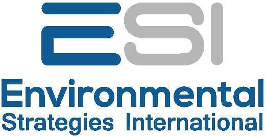 Environmental Strategies International