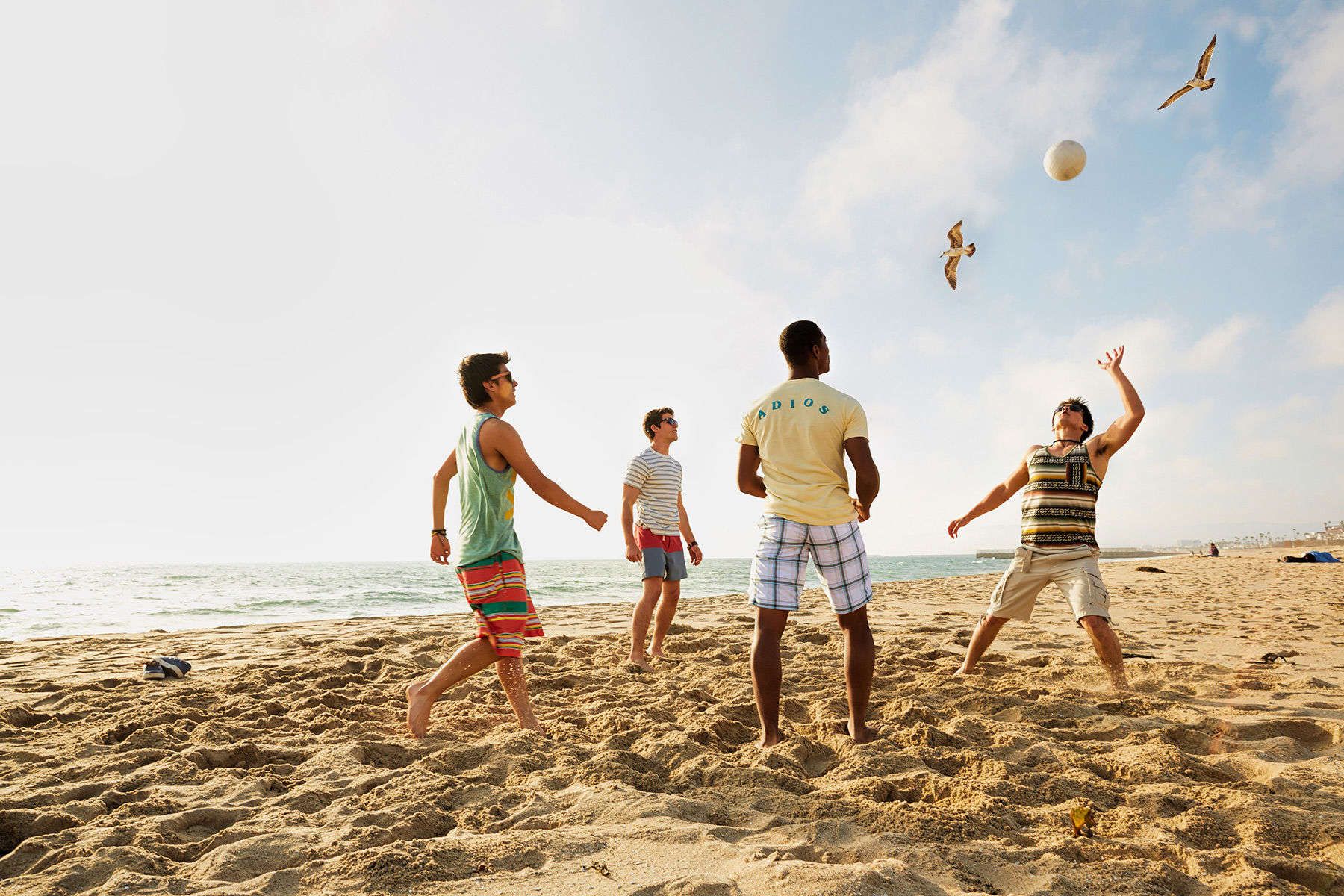 1r140411_plato_dockweilerbeach_3717lb