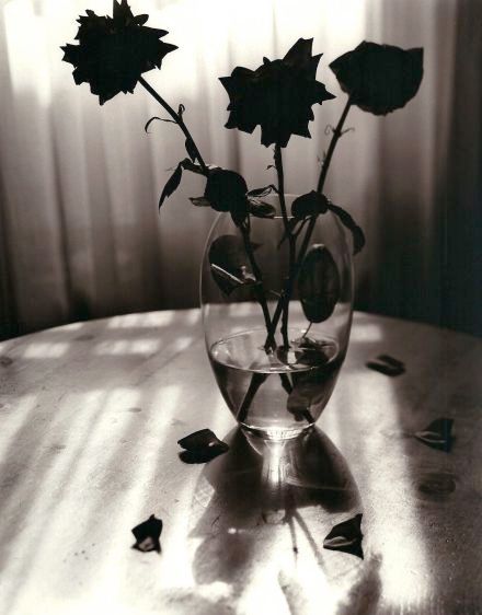 14. roses