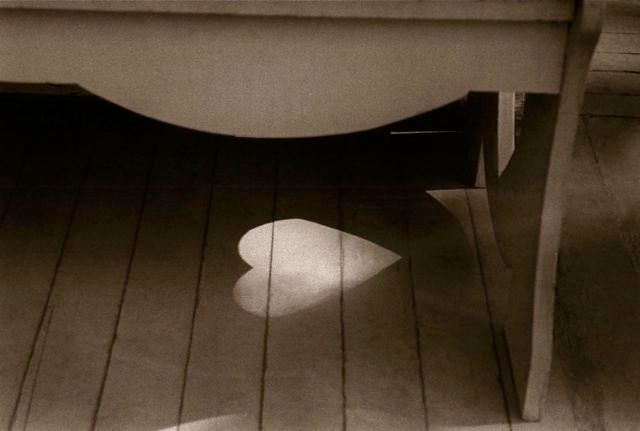 sun spot, rhinebeck, ny, 1999