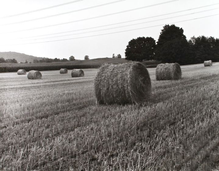 hay rolls, 1981