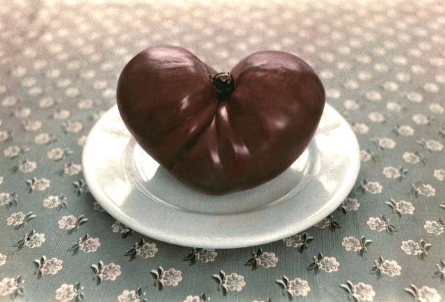 tomato, ammagansett, ny, 1978