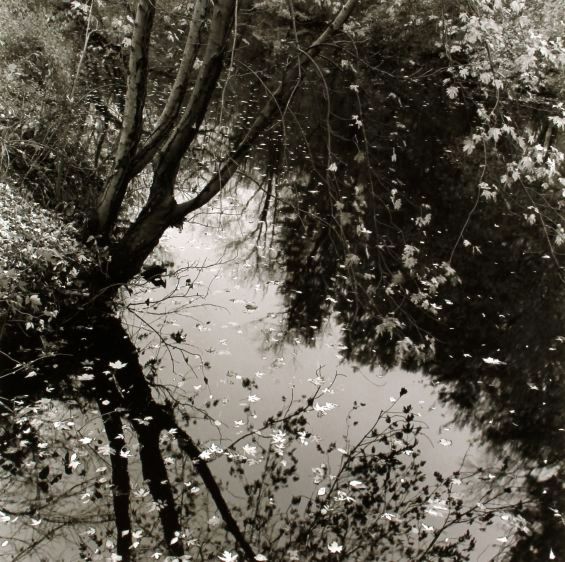 early autumn, 198