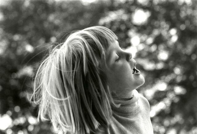 singing to the wind, 4 years