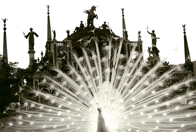 Isola Bella, Lago Magiorie, Italy, 2000