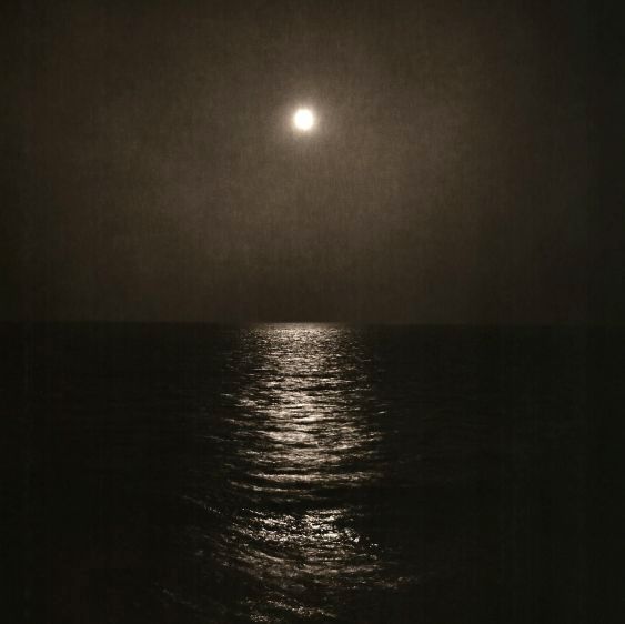 moonlight, chesapeake bay, 1993