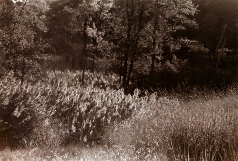 summer, 1993