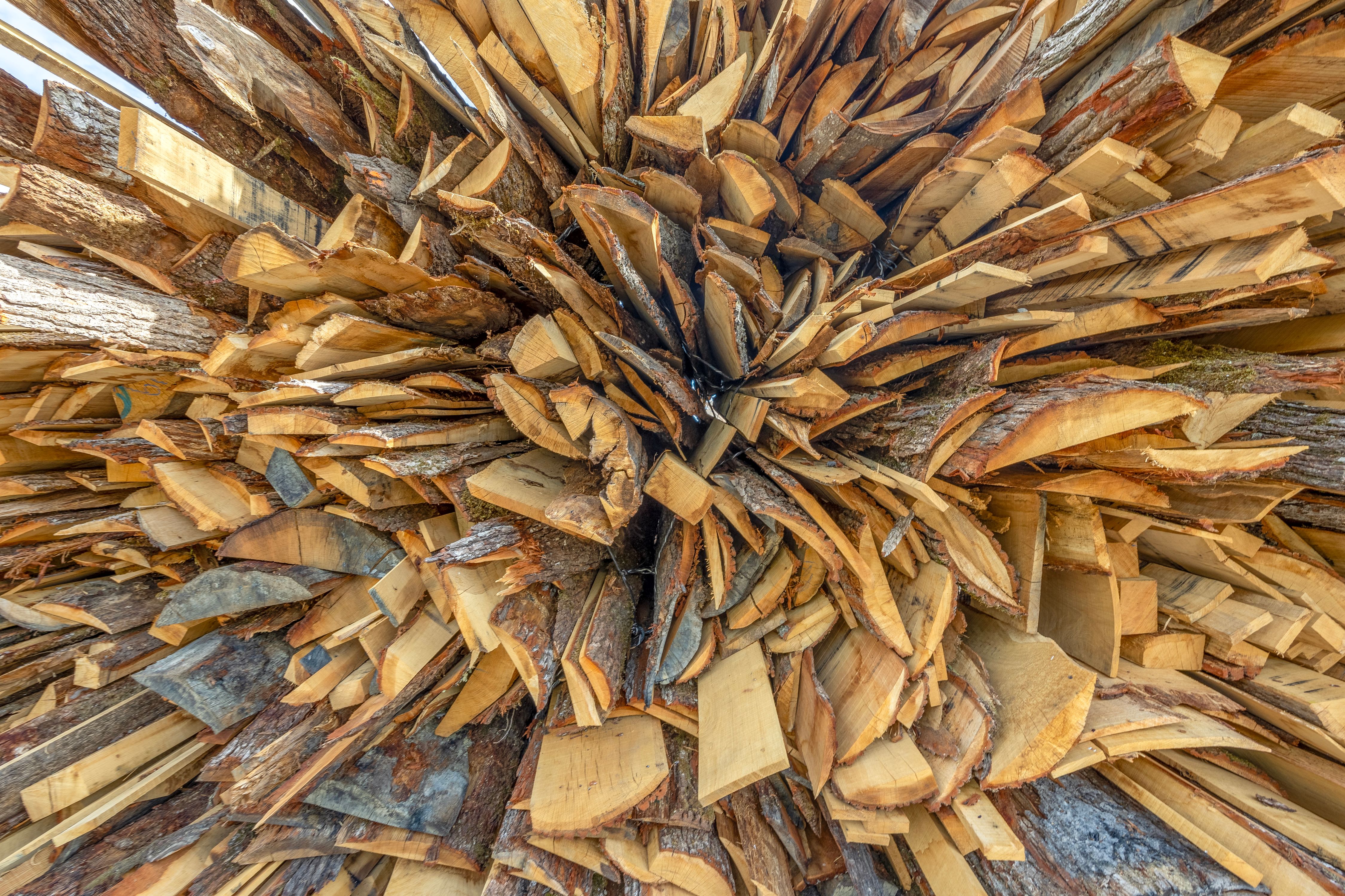 1D7A1193-HDR.jpg