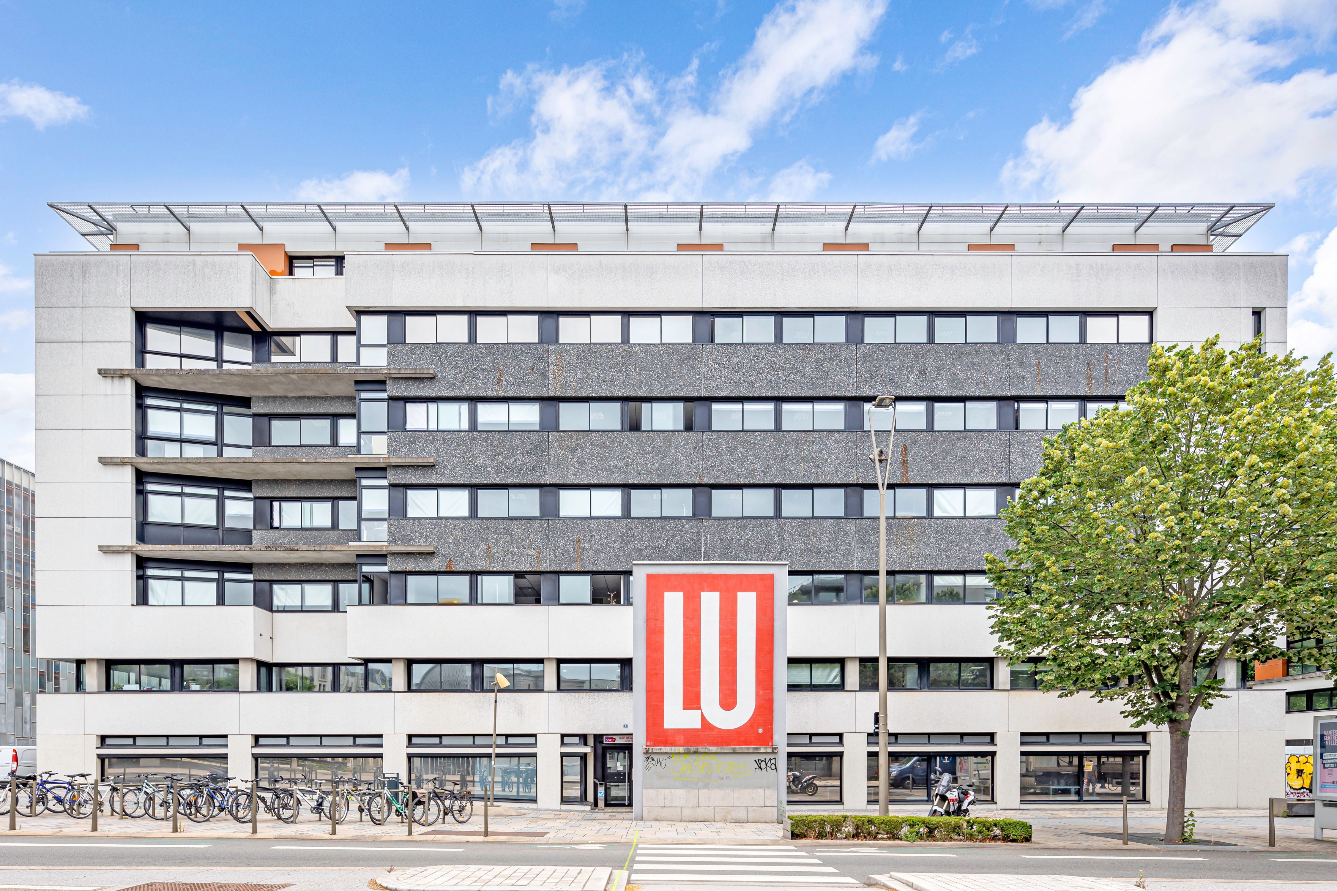 2023-06-19-13189989-2 copy.jpg