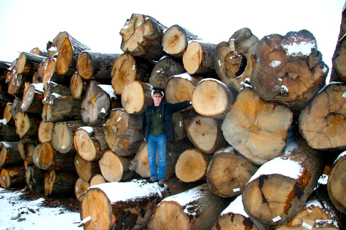 Tom Salisbury-White Oak Logs