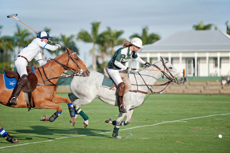 Polo match art print for home and office
