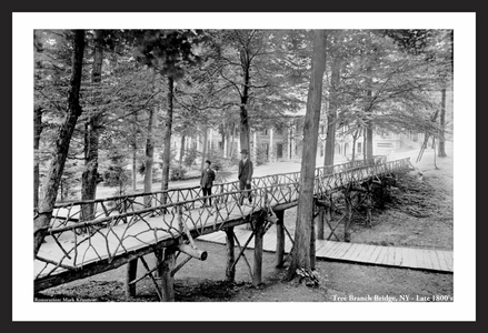Tree Branch Bridge - NY - Late 1800s