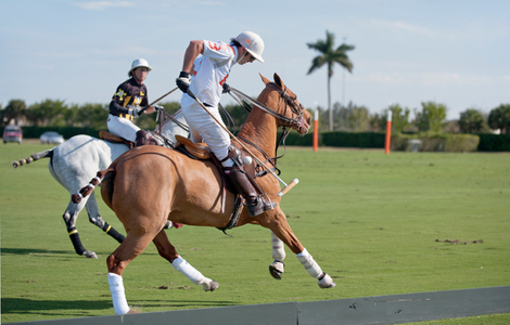Polo match Wellington Florida
