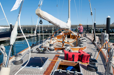 Wild Horses at the Dock before the Newport Bucket Regatta in Newport, RI 2014