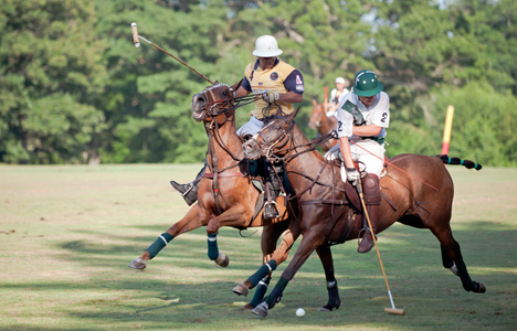 Polo match Myopia in Wenham, MA photography art print