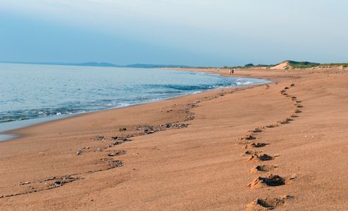 Beach Landscape - Footsteps in the Sand - Plum Island