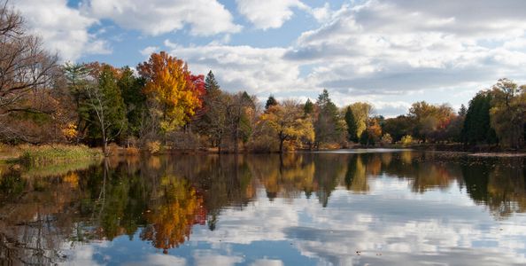 Fall Landscape color reflection on pond