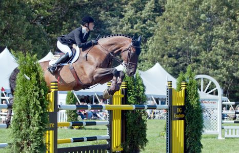 Professional Jumping competition photography art print