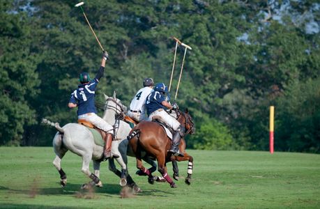 Polo match at Myopia Polo Grounds in Wenham. Mass.