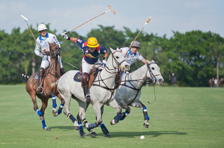 Professional Polo match in Wellington, Florida