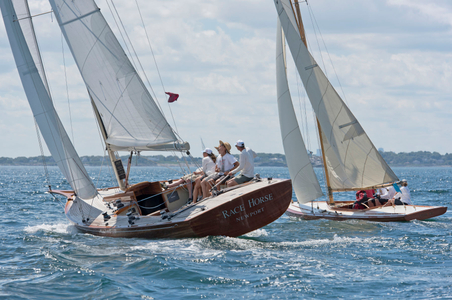 Race Horse and German Classic Tilly XV