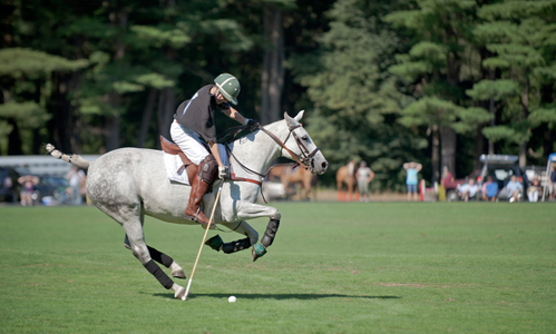 Polo match photography art print