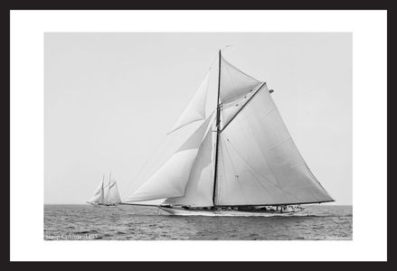America's Cup - Vintage Sailboats - Colonia 1895 - Art Prints  for Home & Office Interiors
