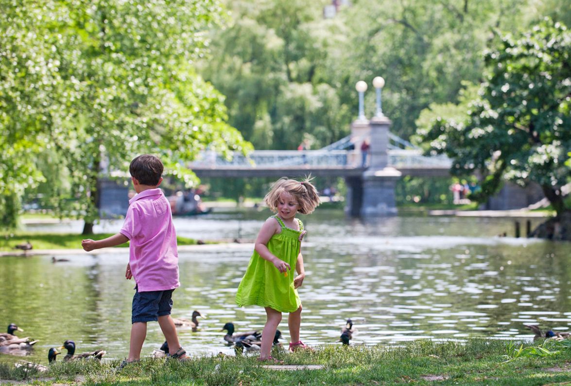 Boston Public Garden - Children Feeding Ducks