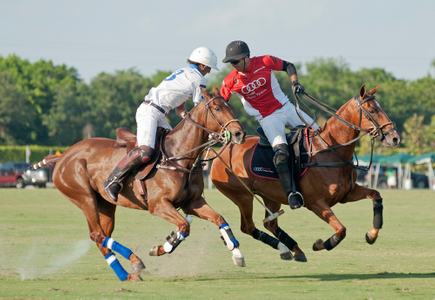 Polo match in Wellington Florida U.S. Open - photography art print