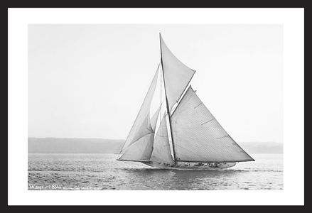 Wasp -1894  - Historic antique sailing photography art print restoration
