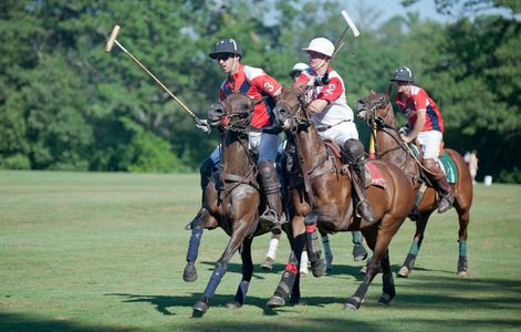 Polo match at Myopia Polo Grounds in Wenham